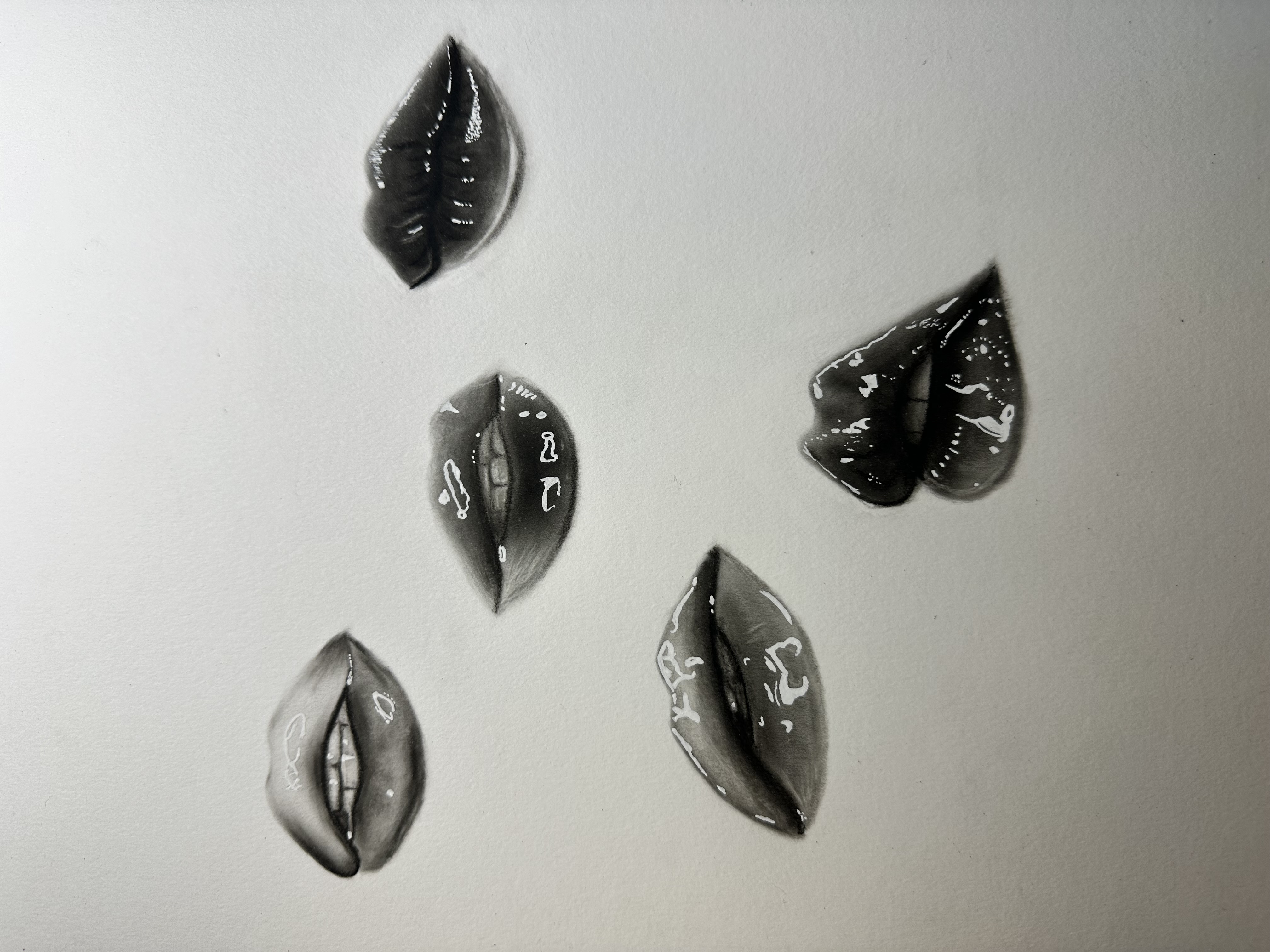 Lips feature