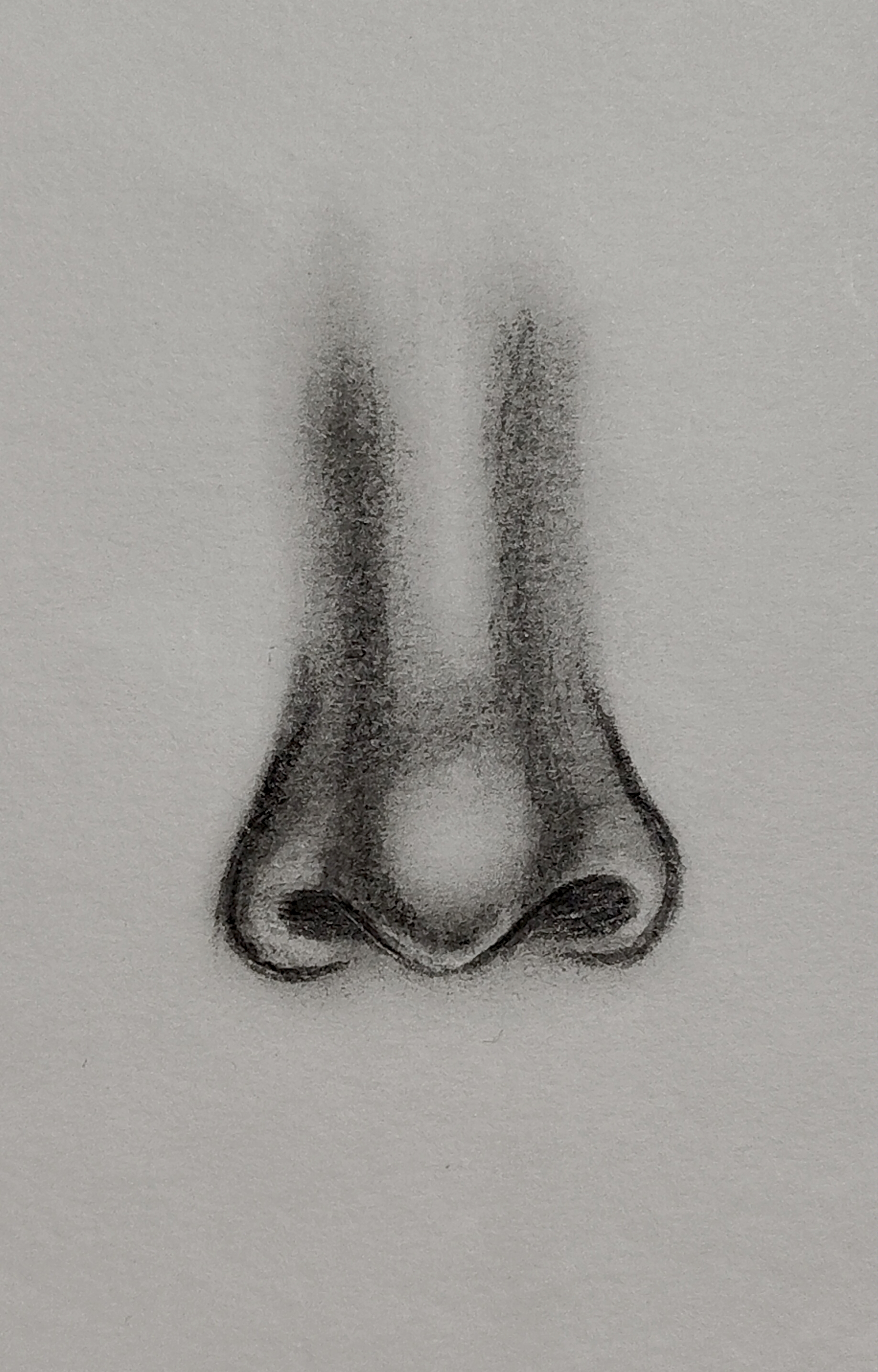 Nose features