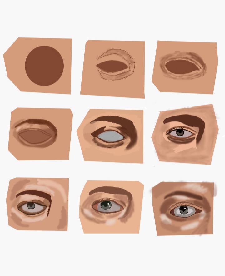 Evolution Of Eyes Art