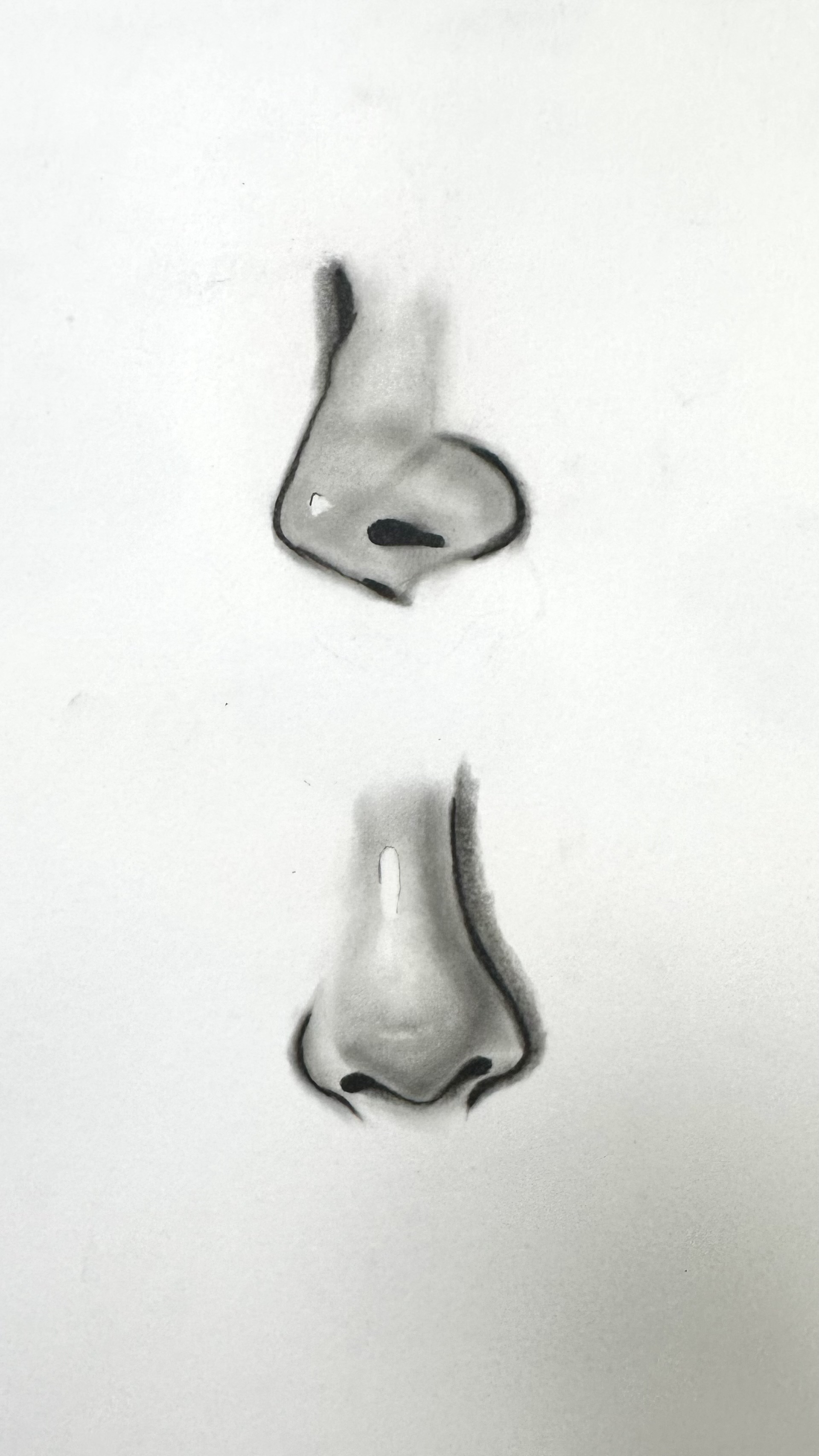 Nose feature