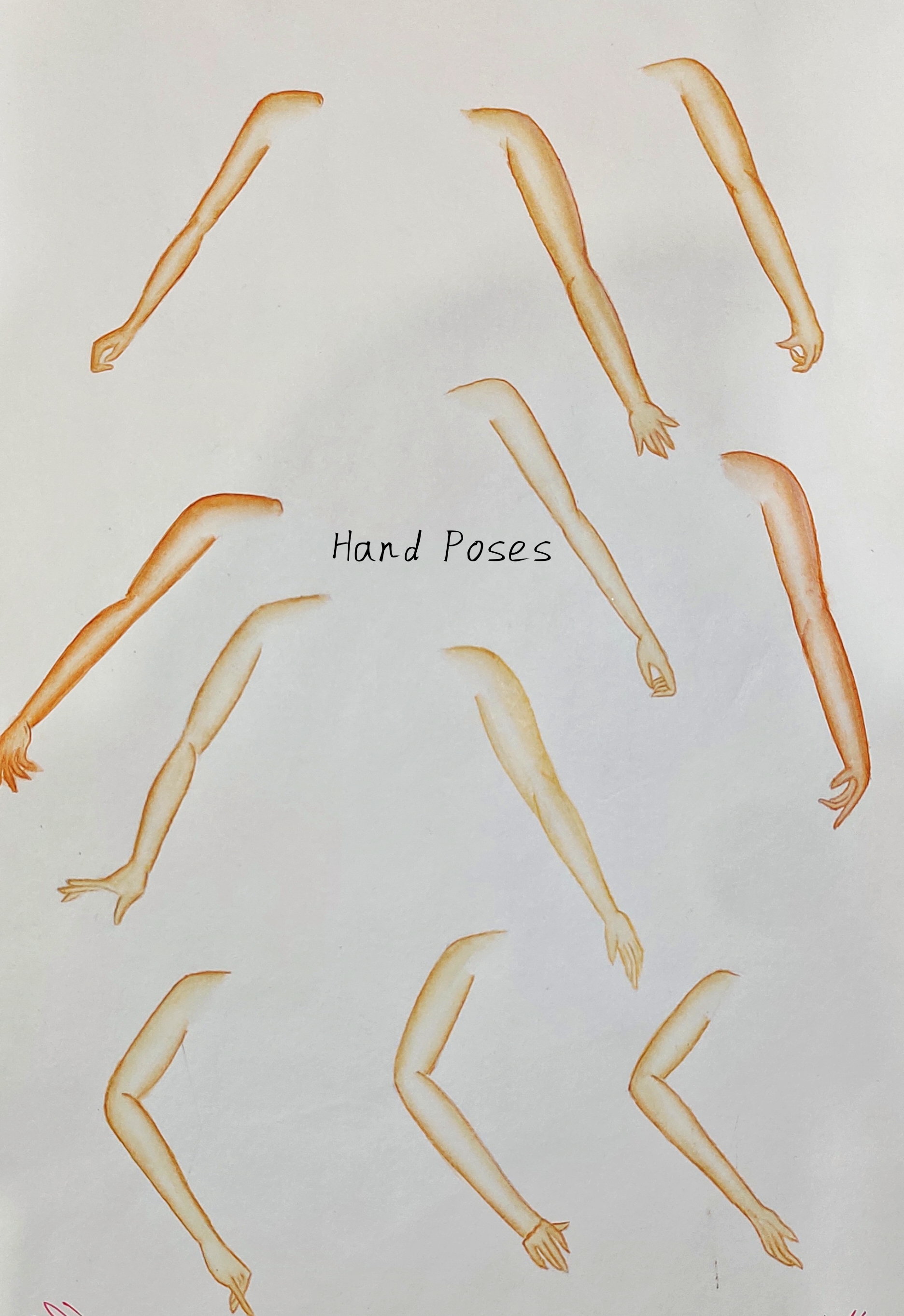 Hand Poses ✋🏻