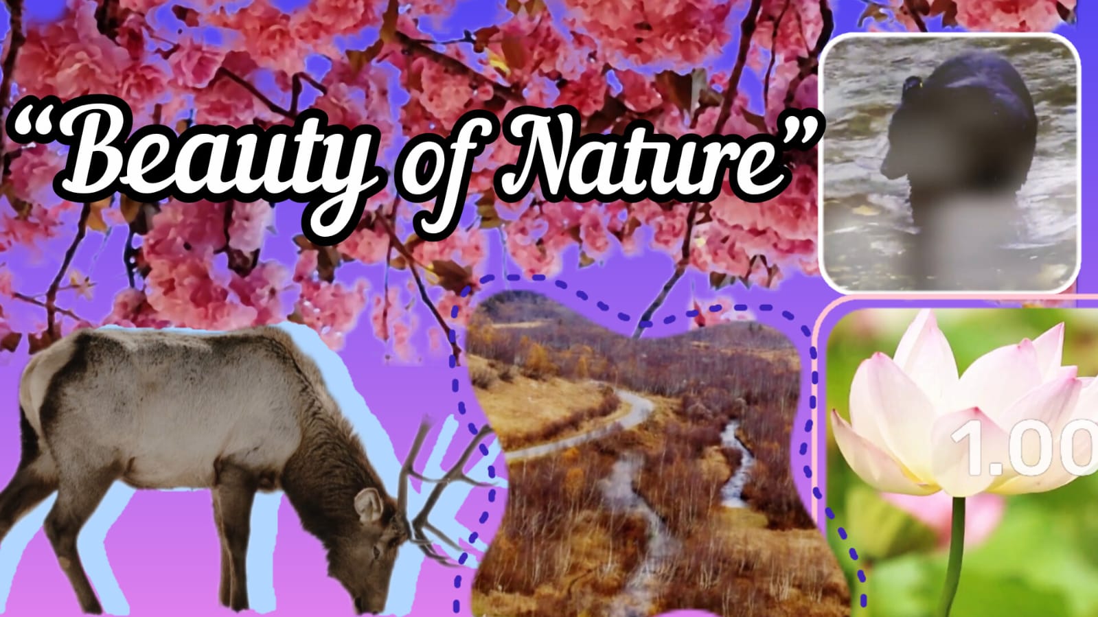 editing with effect and transation