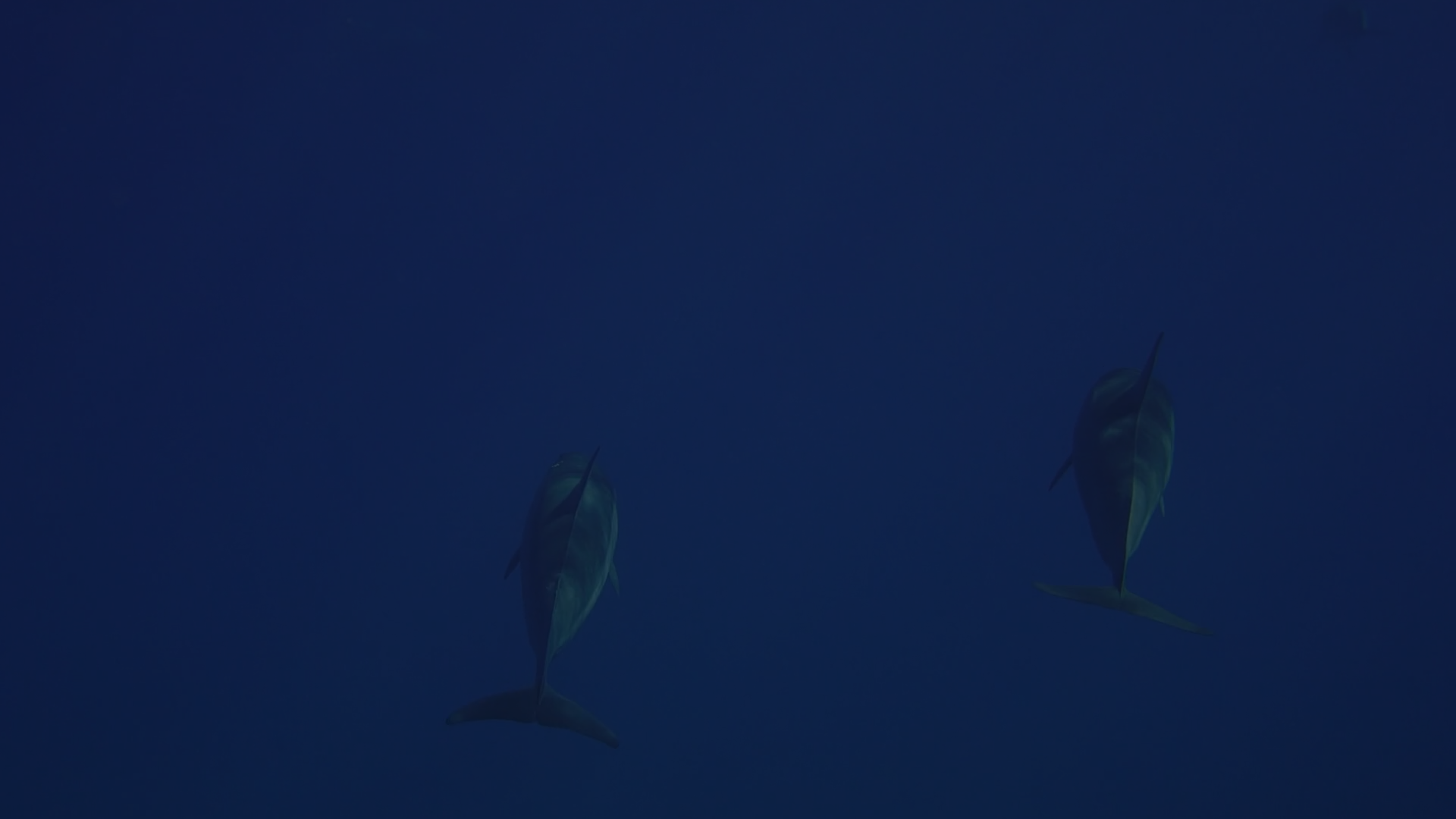 EFFECT AND TRANSATION