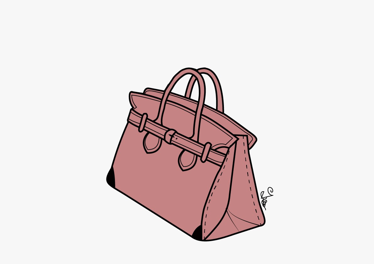 Illustrator bag